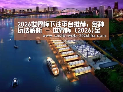 案例展示八