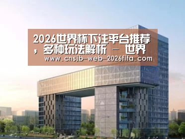 案例展示四