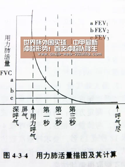 世界杯买球网站
