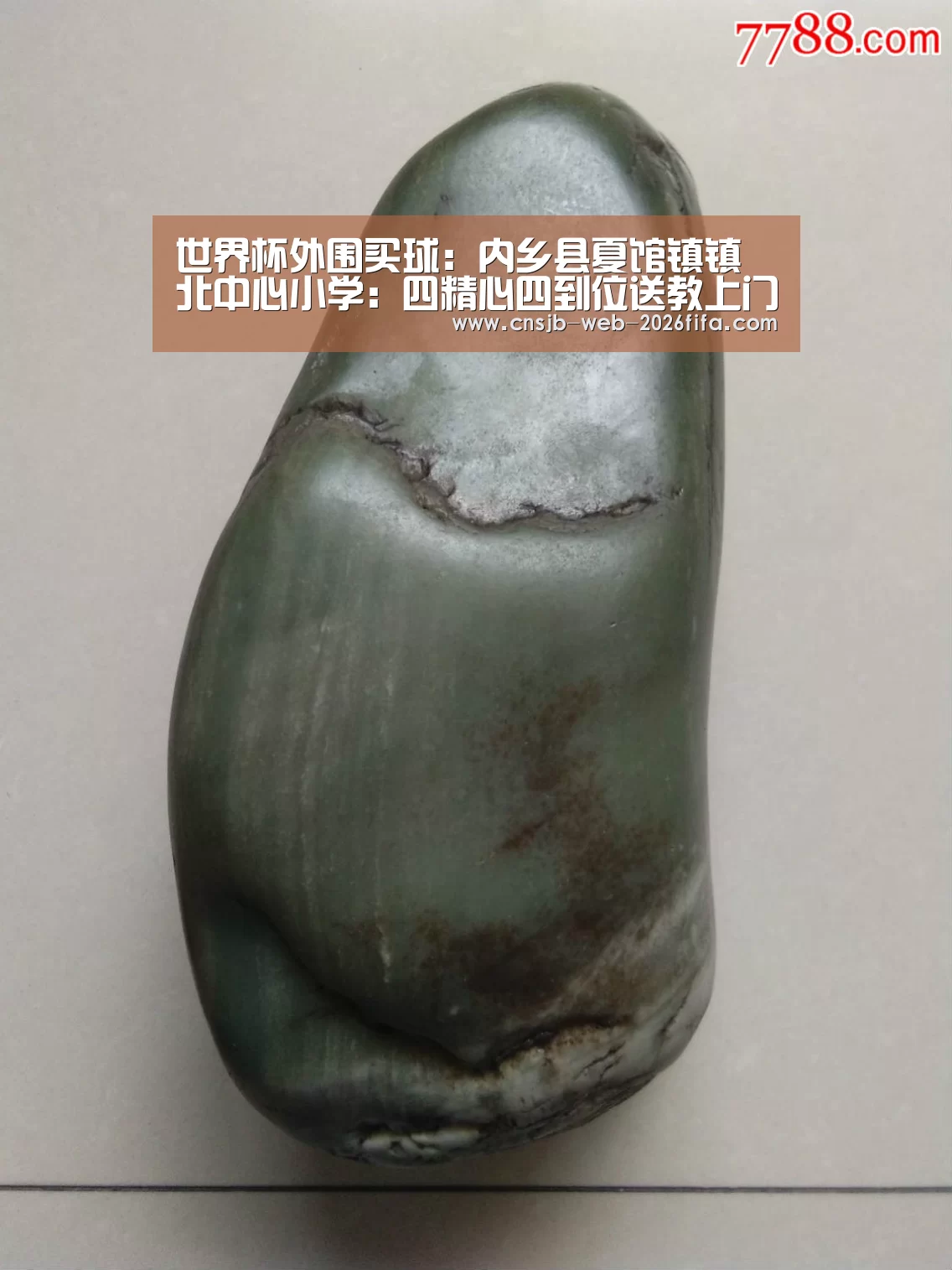 世界杯外围买球:内乡县夏馆镇镇北中心小学:四精心四到位送教上门暖人心(图1) 2026世界杯