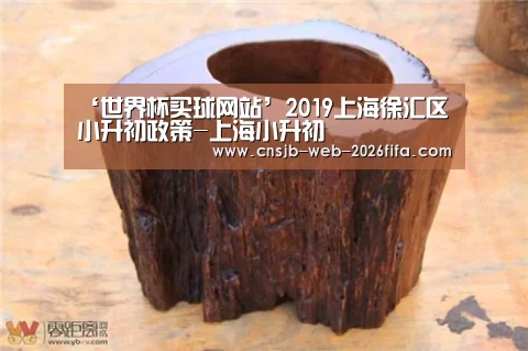 ‘世界杯买球网站’2019上海徐汇区小升初政策-上海小升初(图3) 世界杯外围买球