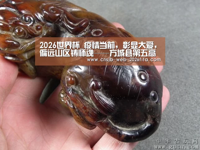 2026世界杯_疫情当前,彰显大爱,偏远山区铸师魂——方城县第五高中教师周少元(图1) 世界杯投注