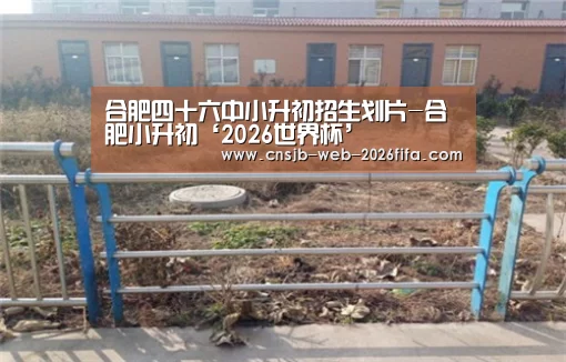 2026世界杯