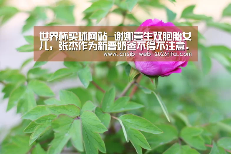 世界杯外围买球