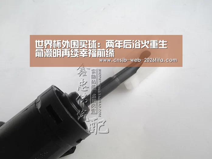世界杯投注
